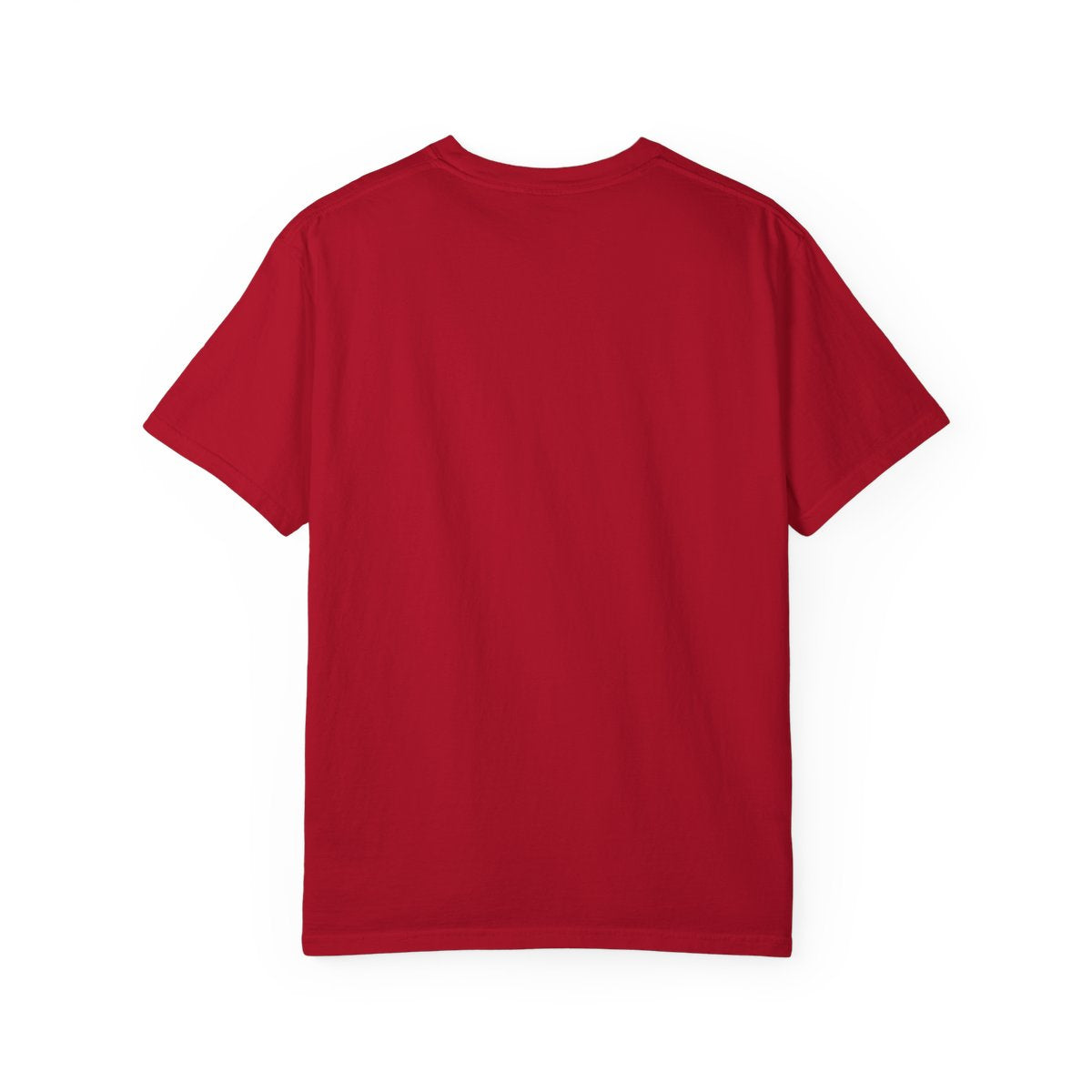 men's garment-dyed t-shirt